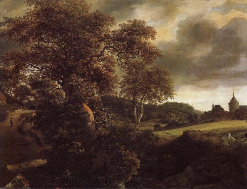 Jacob van Ruisdael Hilly Landscape with a great oak and a Grainfield Germany oil painting art